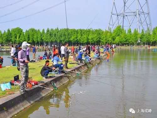 8b8127446d420ed0d206797a0f8c8cf.jpg 8b8127446d420ed0d206797a0f8c8cf.jpg