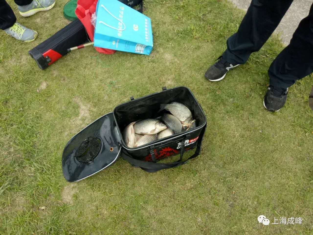 ae51b22a21d34eaec5770b50b1539f6.jpg ae51b22a21d34eaec5770b50b1539f6.jpg